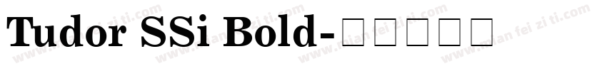 Tudor SSi Bold字体转换